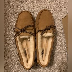 Ugg Dakota Chestnut slippers new